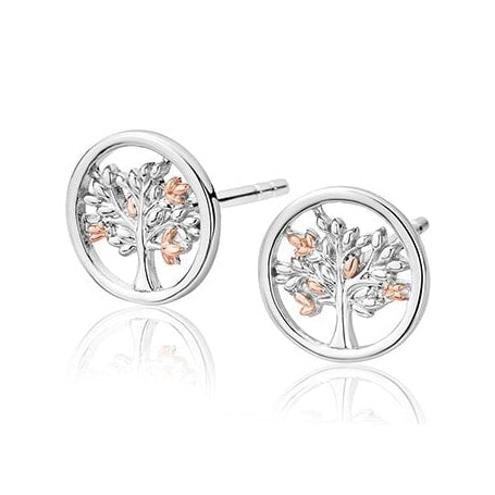 Ladies Silver and Welsh Gold Tree Of Life Stud Earrings 3SNTLCSE