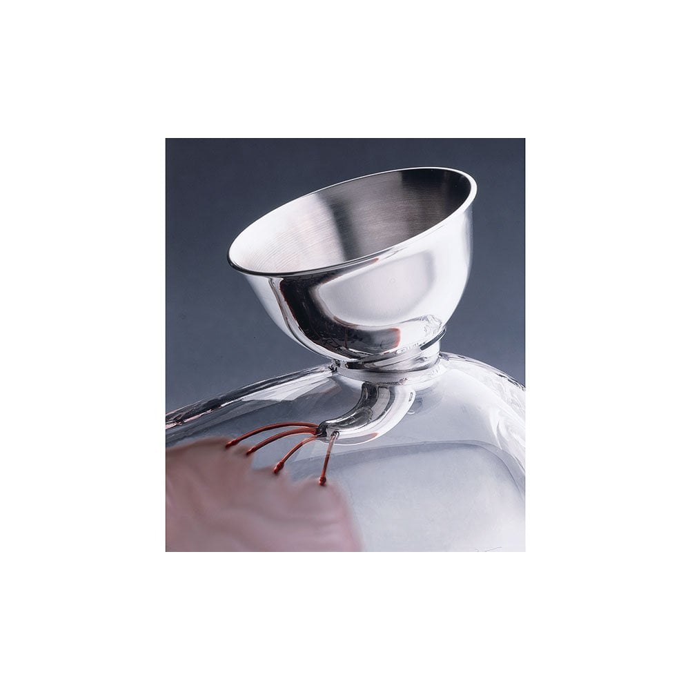 Pewter and Glass Vinifera Whale Decanter 1 Litre 014594R