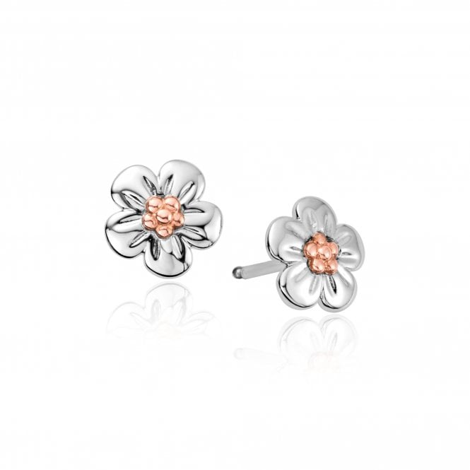 Ladies Silver & Welsh Gold Forget Me Not Stud Earrings 3SFMN0621