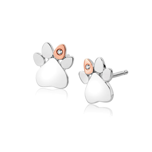 Ladies Silver & Welsh Gold Paw Print Stud Earrings 3SPWP0616