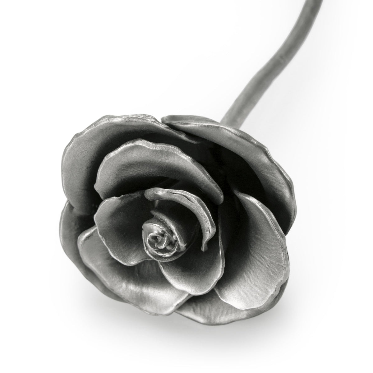 Rosa Blossom Pewter Flower Height 23.5cm 017002