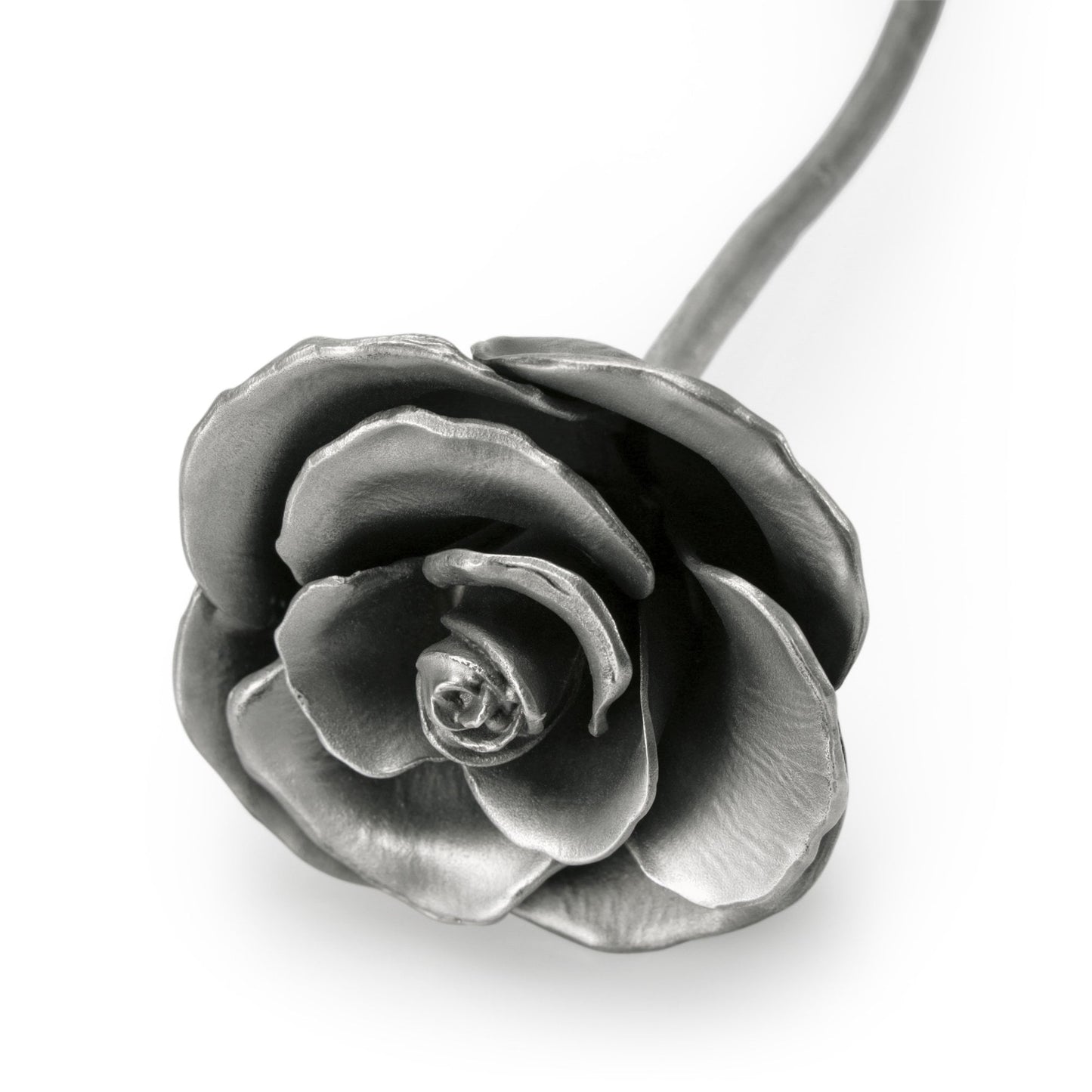 Rosa Blossom Pewter Flower Height 23.5cm 017002