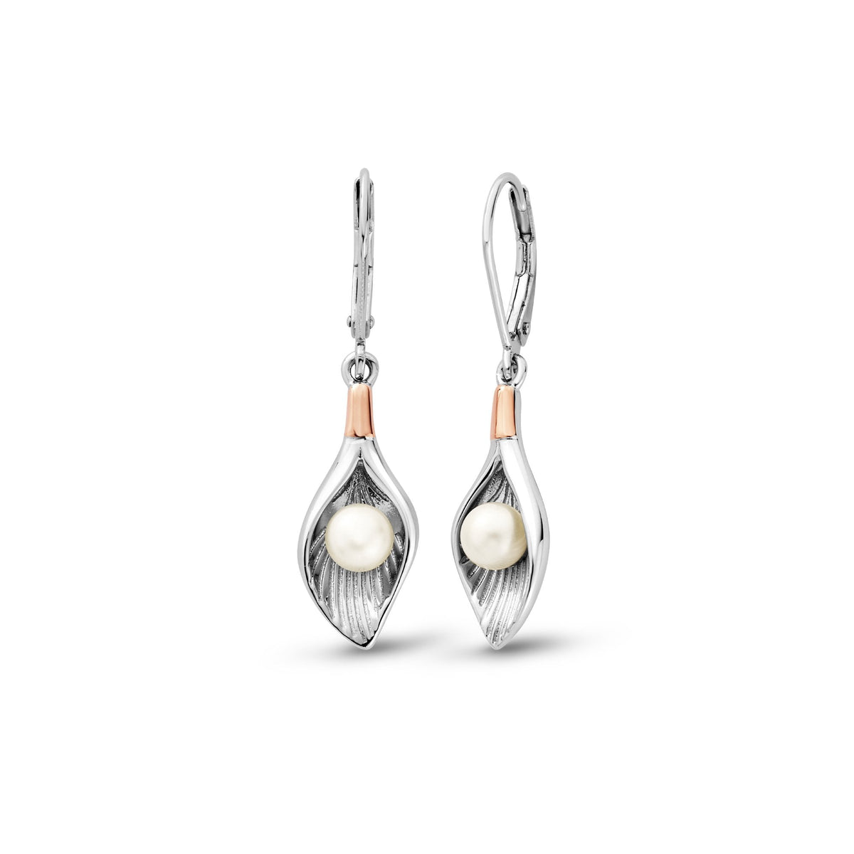 Silver & Gold Beachcomber Shell And Pearl Earrings 3SLYV0791
