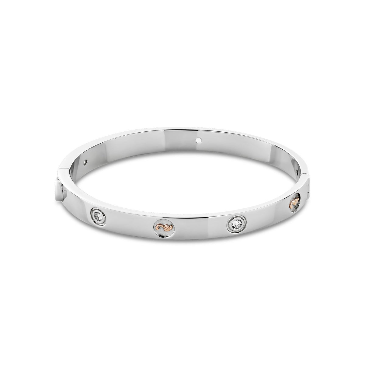Silver & Gold Ladies Insignia White Topaz Bangle 3SINS842