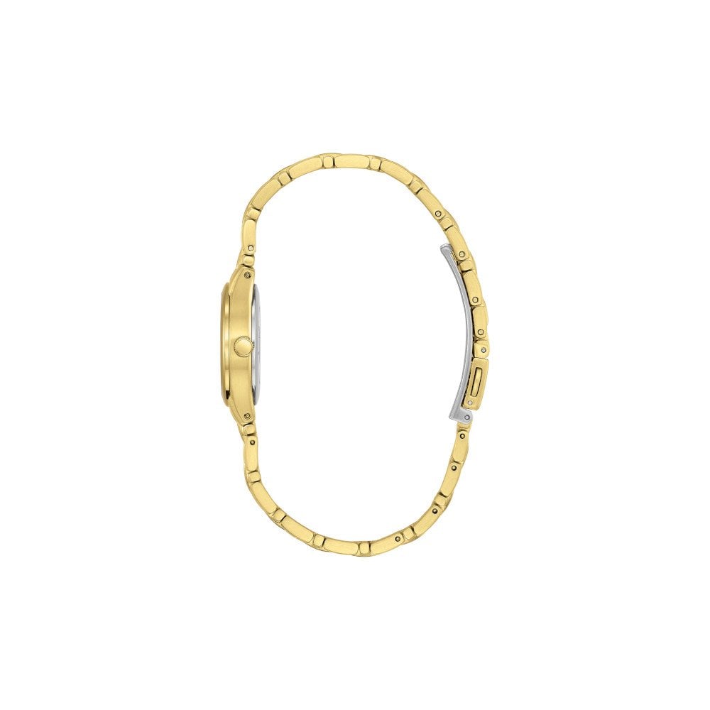 Ladies Gold Tone Citizen Eco-Drive Watch on Bracelet EW1262-55P